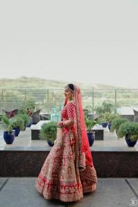 Photos by Safarsaga Films